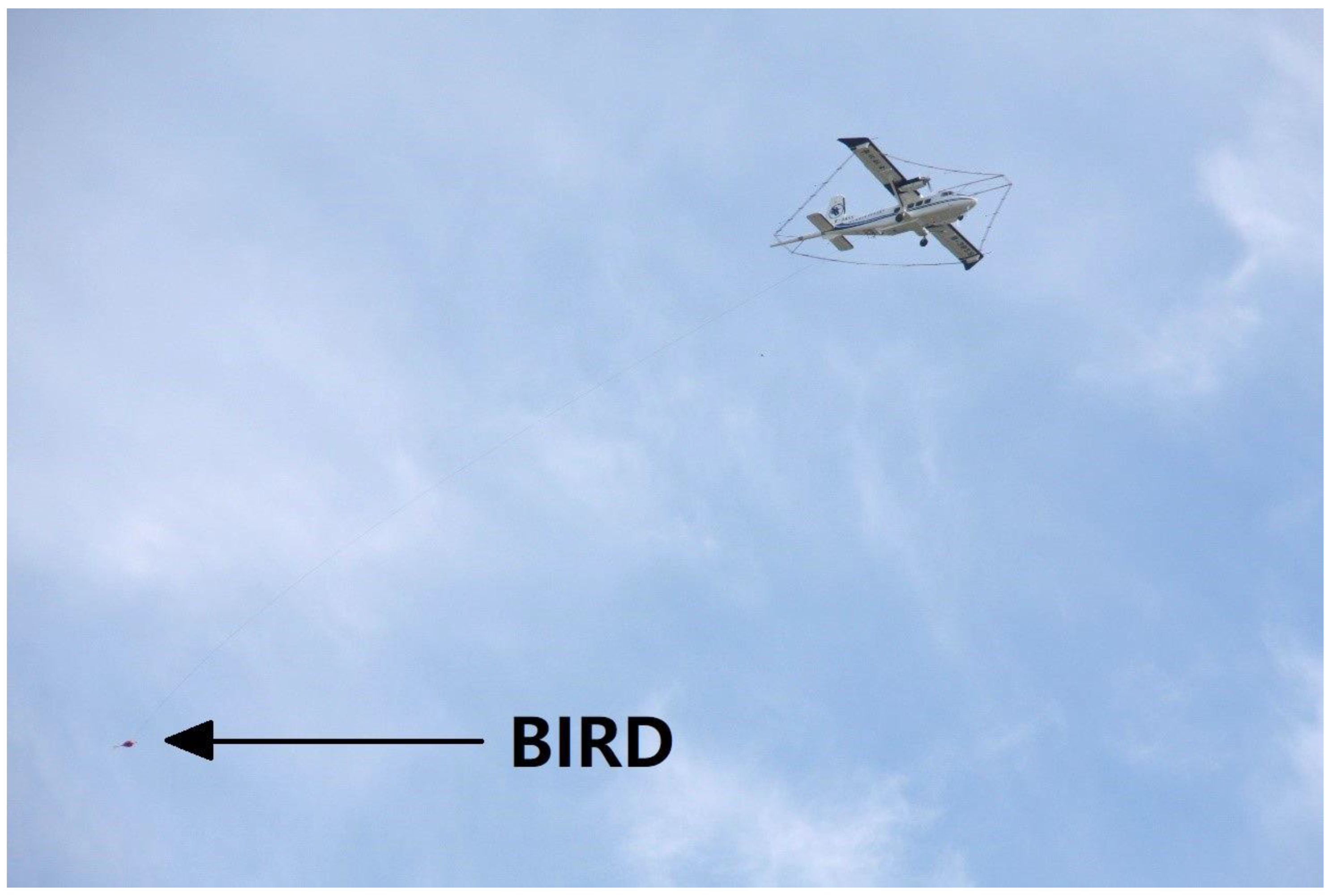 Minerals 12 00890 g004