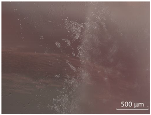 Minerals 12 00920 i023 Minerals 12 00920 i023