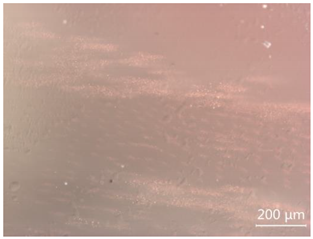 Minerals 12 00920 i024 Minerals 12 00920 i024