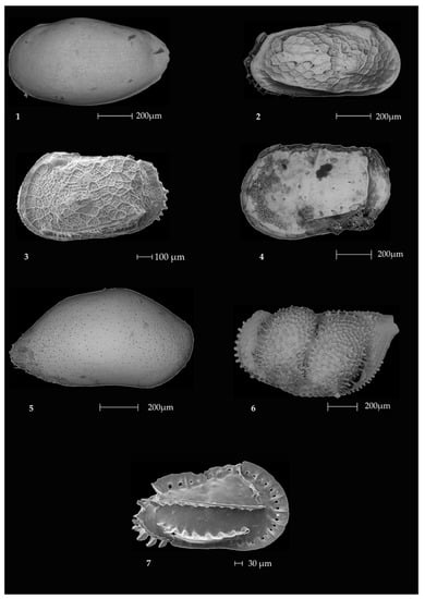 Minerals 12 00937 g0a1