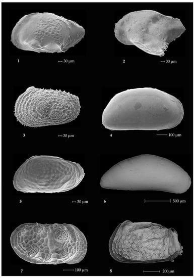 Minerals 12 00937 g0a2