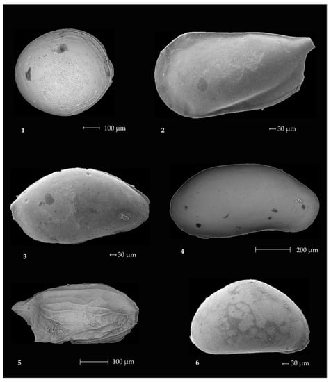 Minerals 12 00937 g0a3