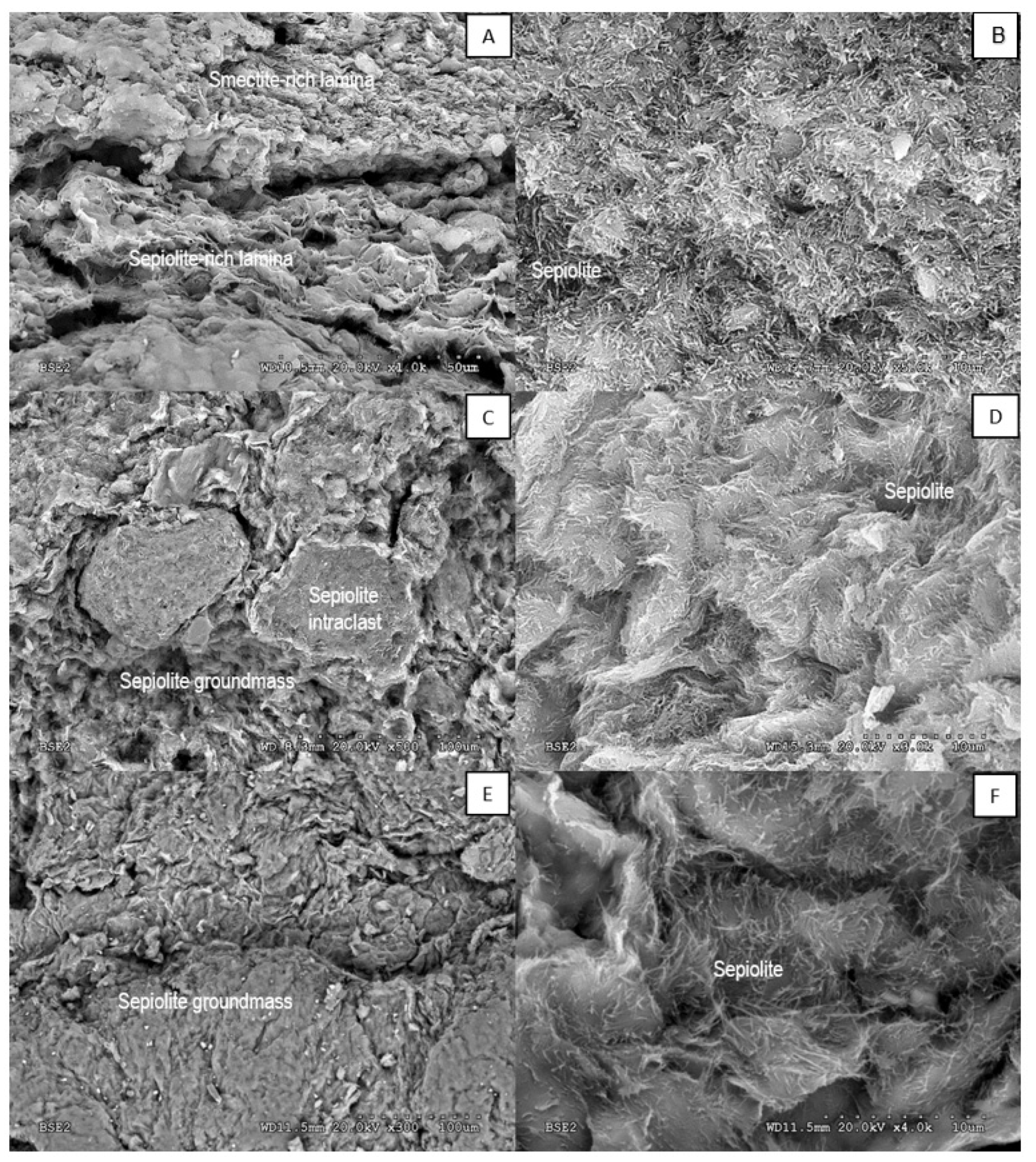 Minerals 12 00987 g005