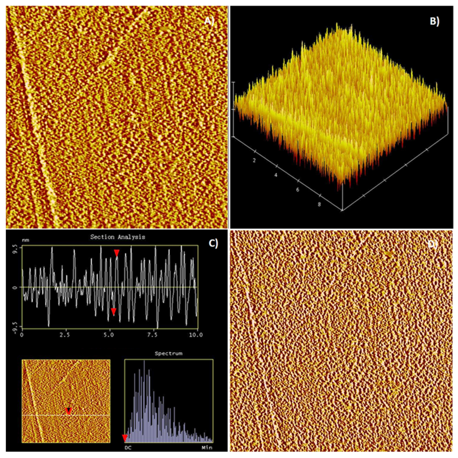 Minerals 12 01018 g007