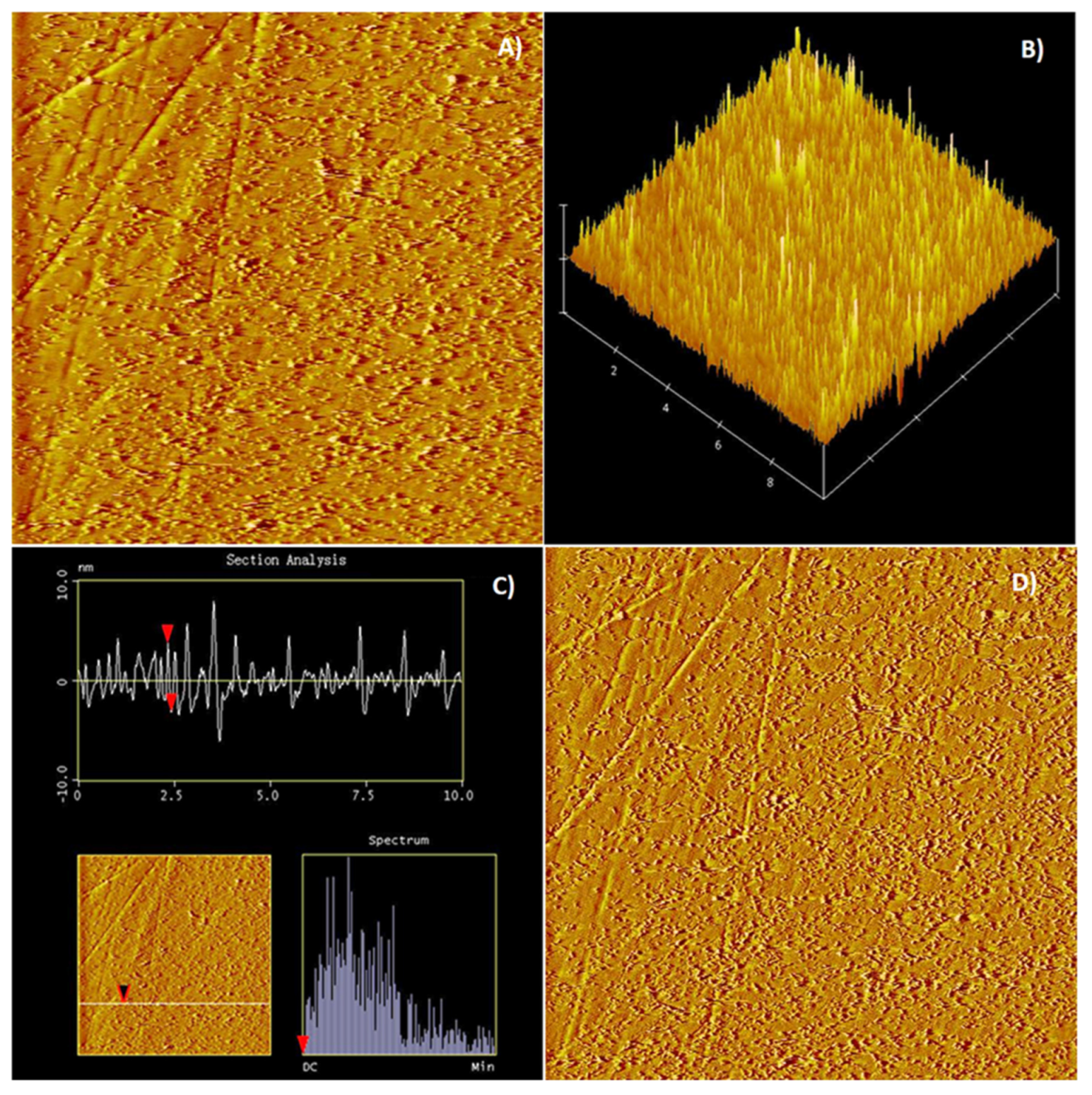 Minerals 12 01018 g010