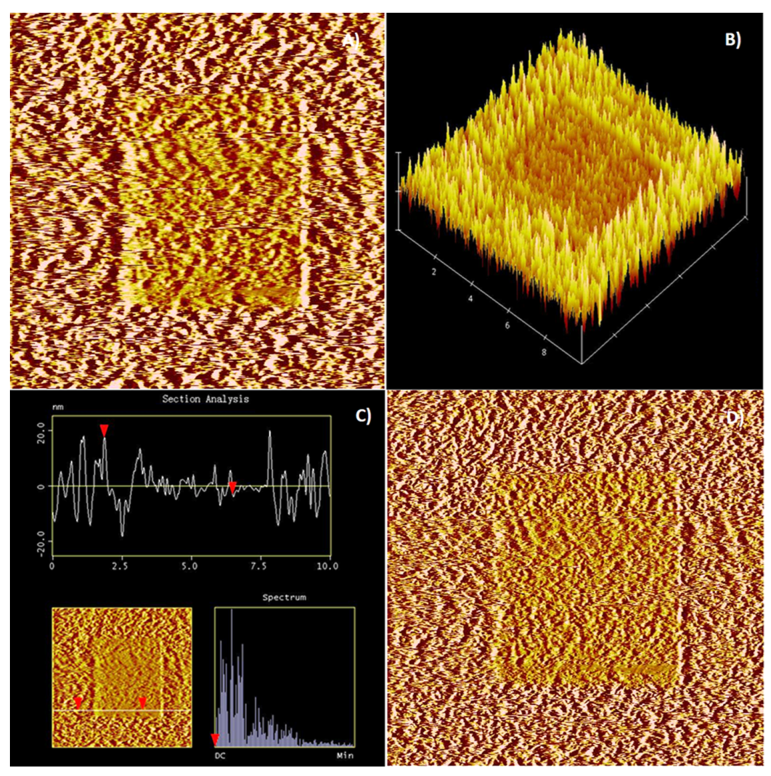 Minerals 12 01018 g013