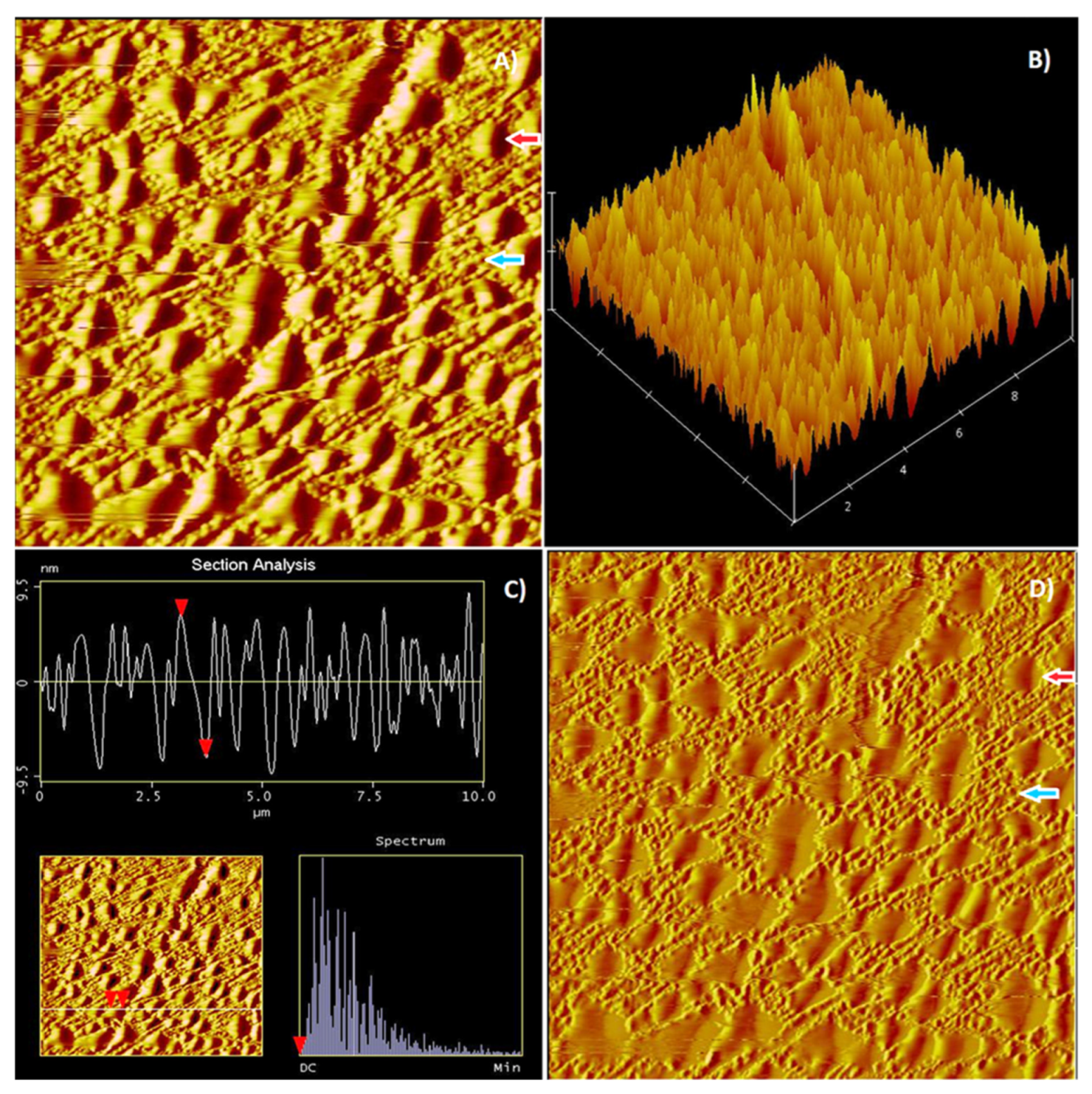 Minerals 12 01018 g024