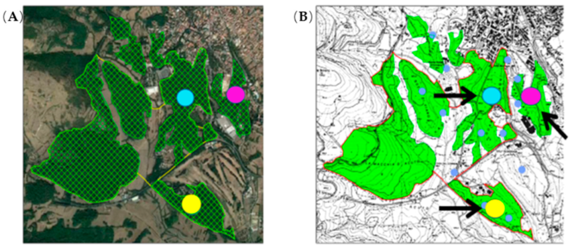 Minerals 12 01019 g002 Minerals 12 01019 g002