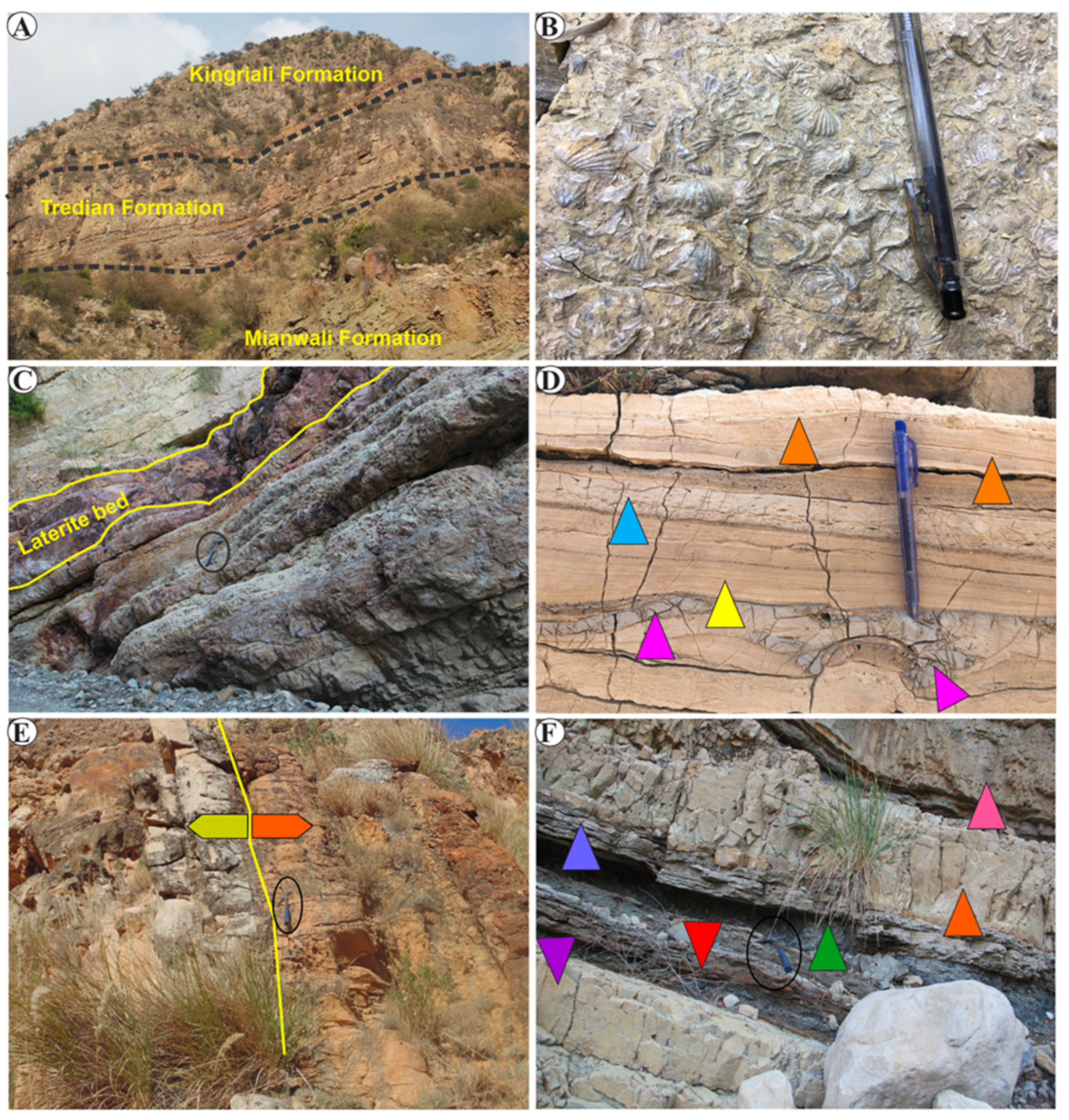 Minerals 12 01049 g002