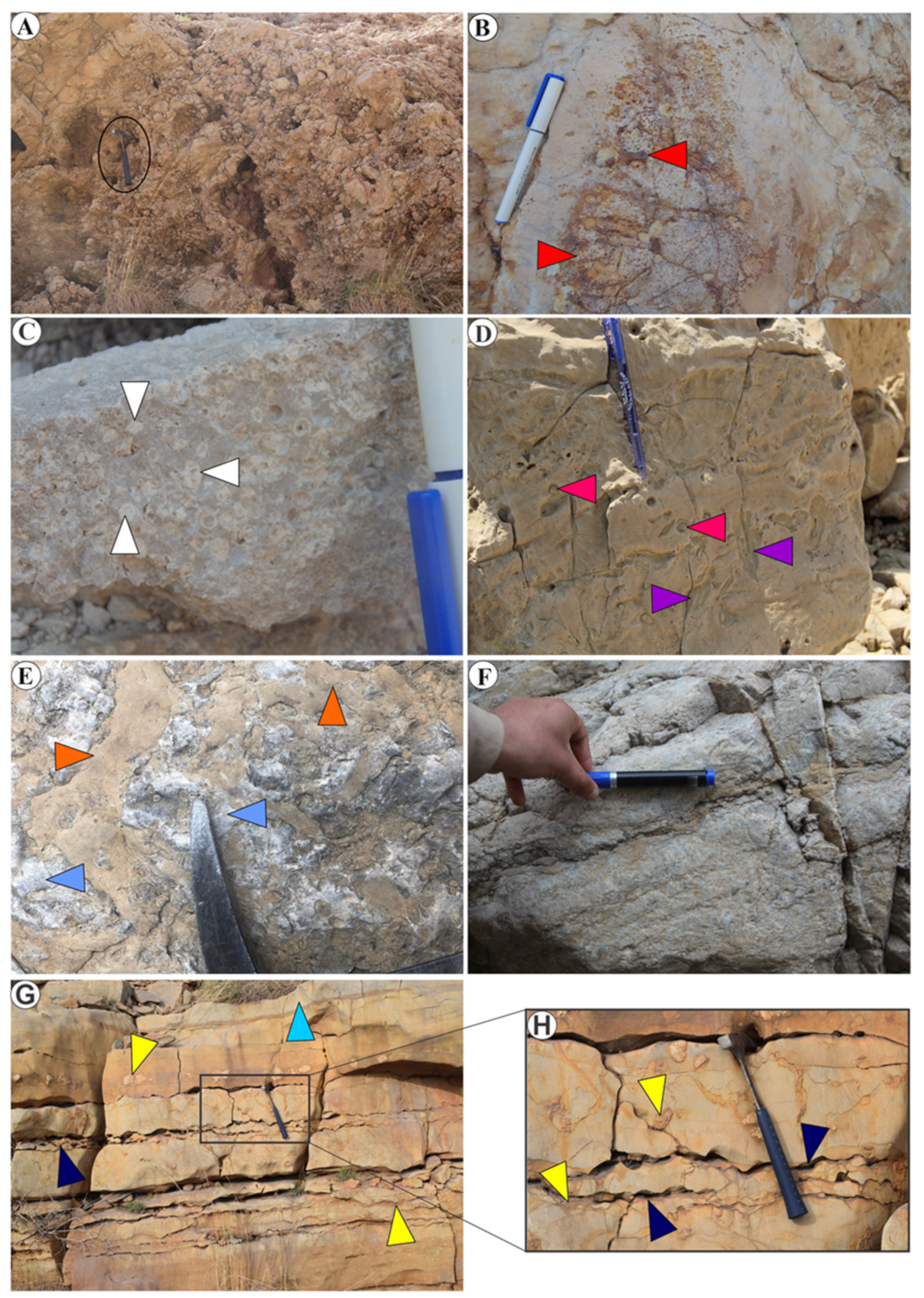Minerals 12 01049 g003