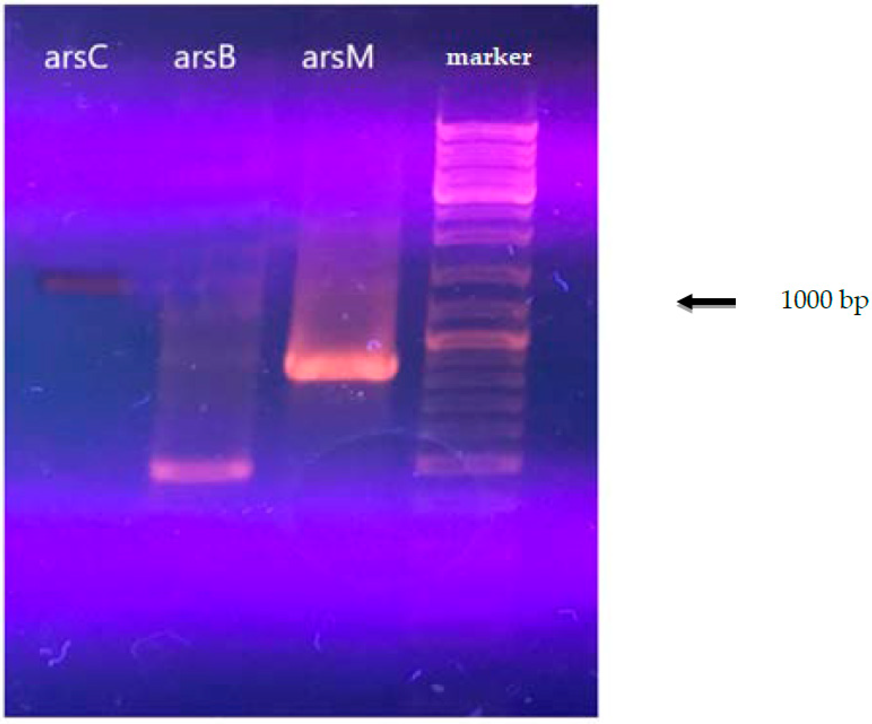 Minerals 12 01051 g001 Minerals 12 01051 g001