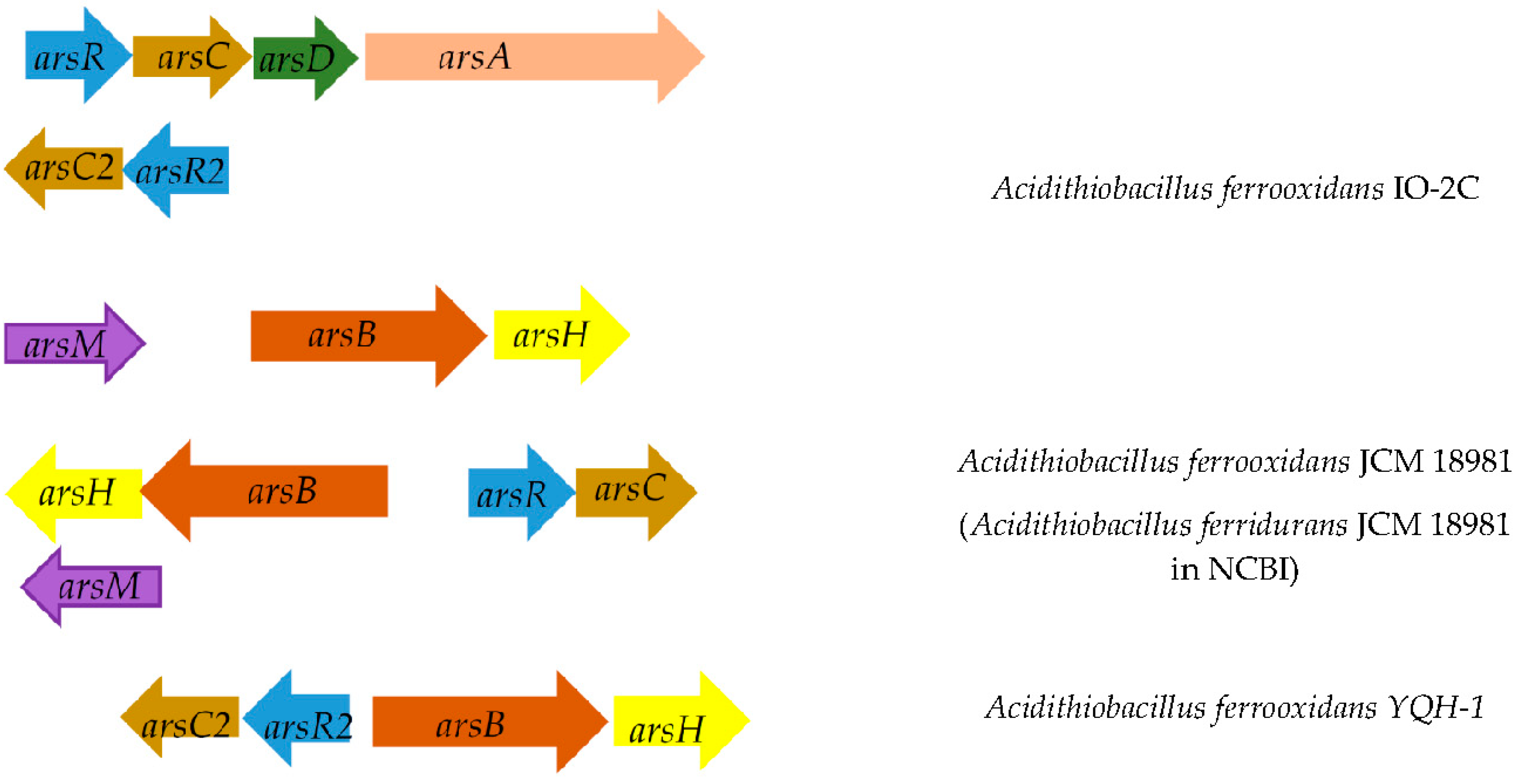 Minerals 12 01051 g002b Minerals 12 01051 g002b
