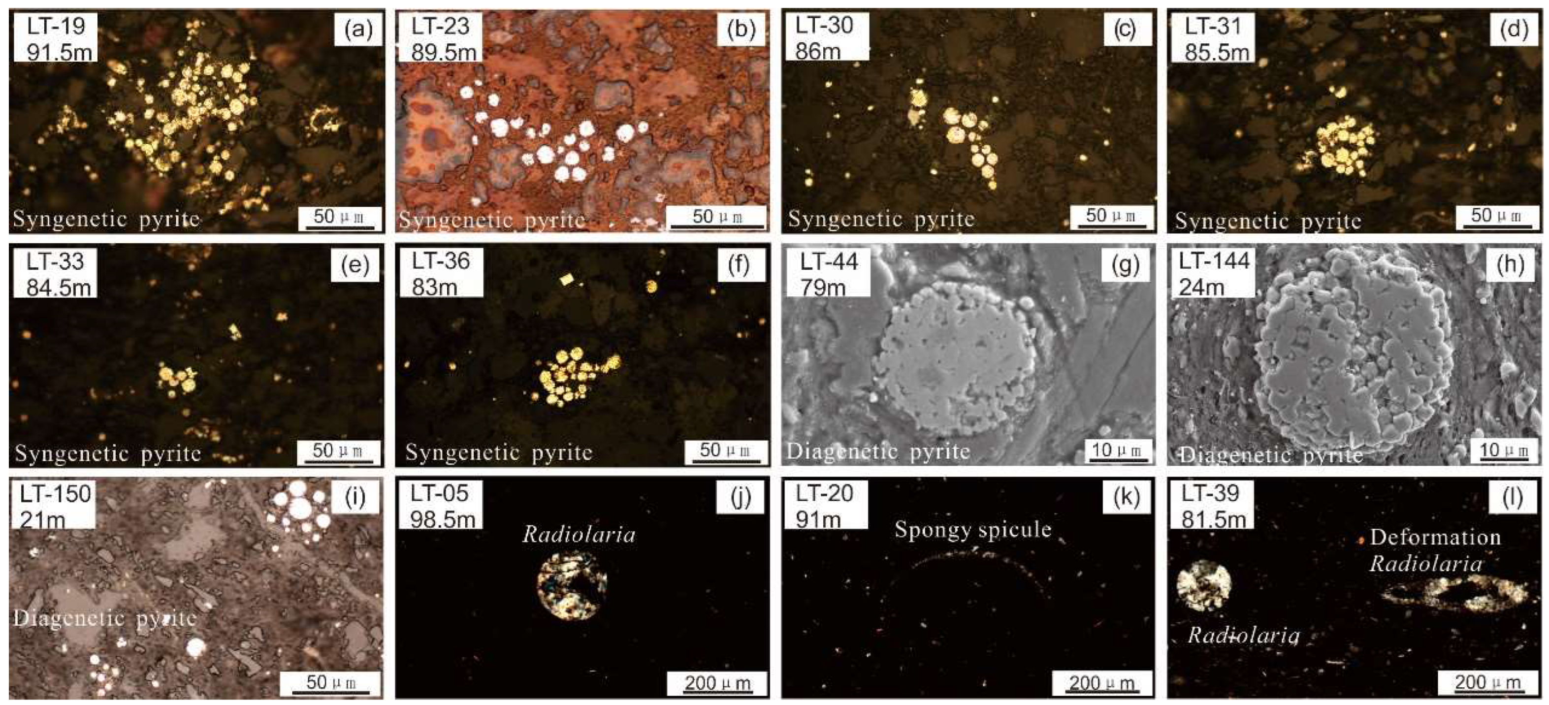 Minerals 12 01124 g006