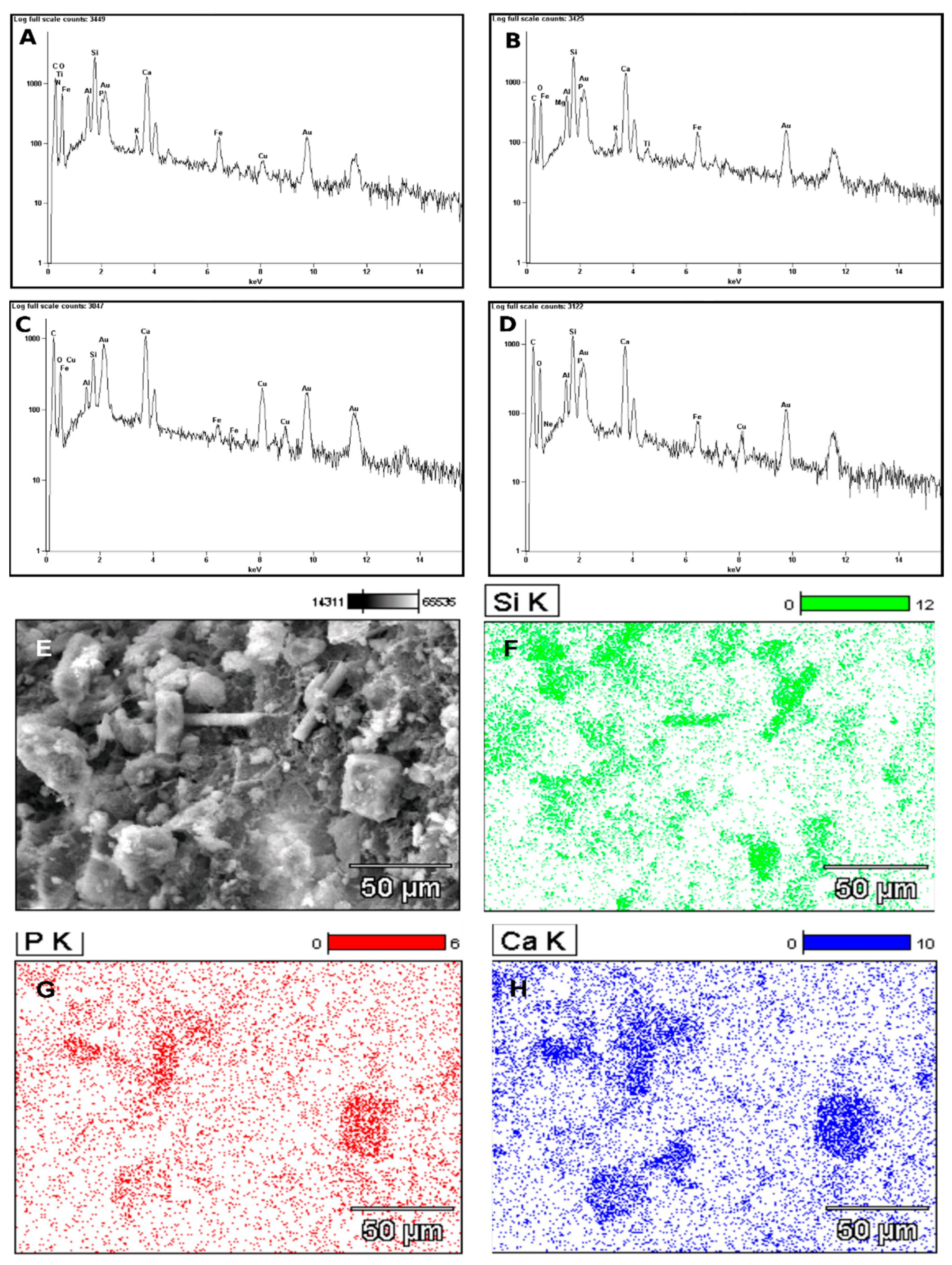 Minerals 12 01130 g005