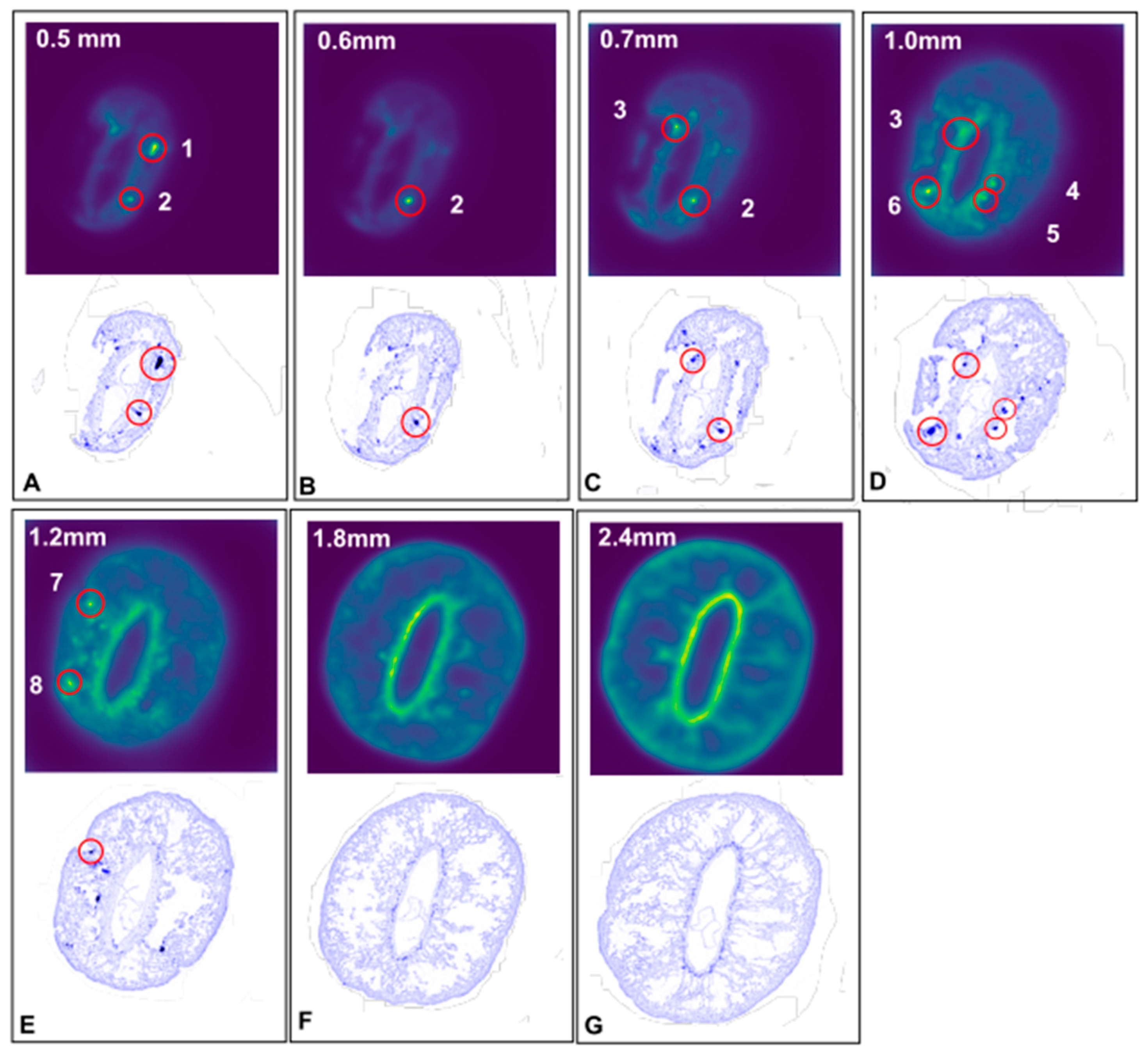 Minerals 12 01130 g007