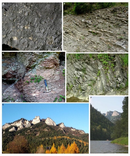 Minerals 12 01149 g006