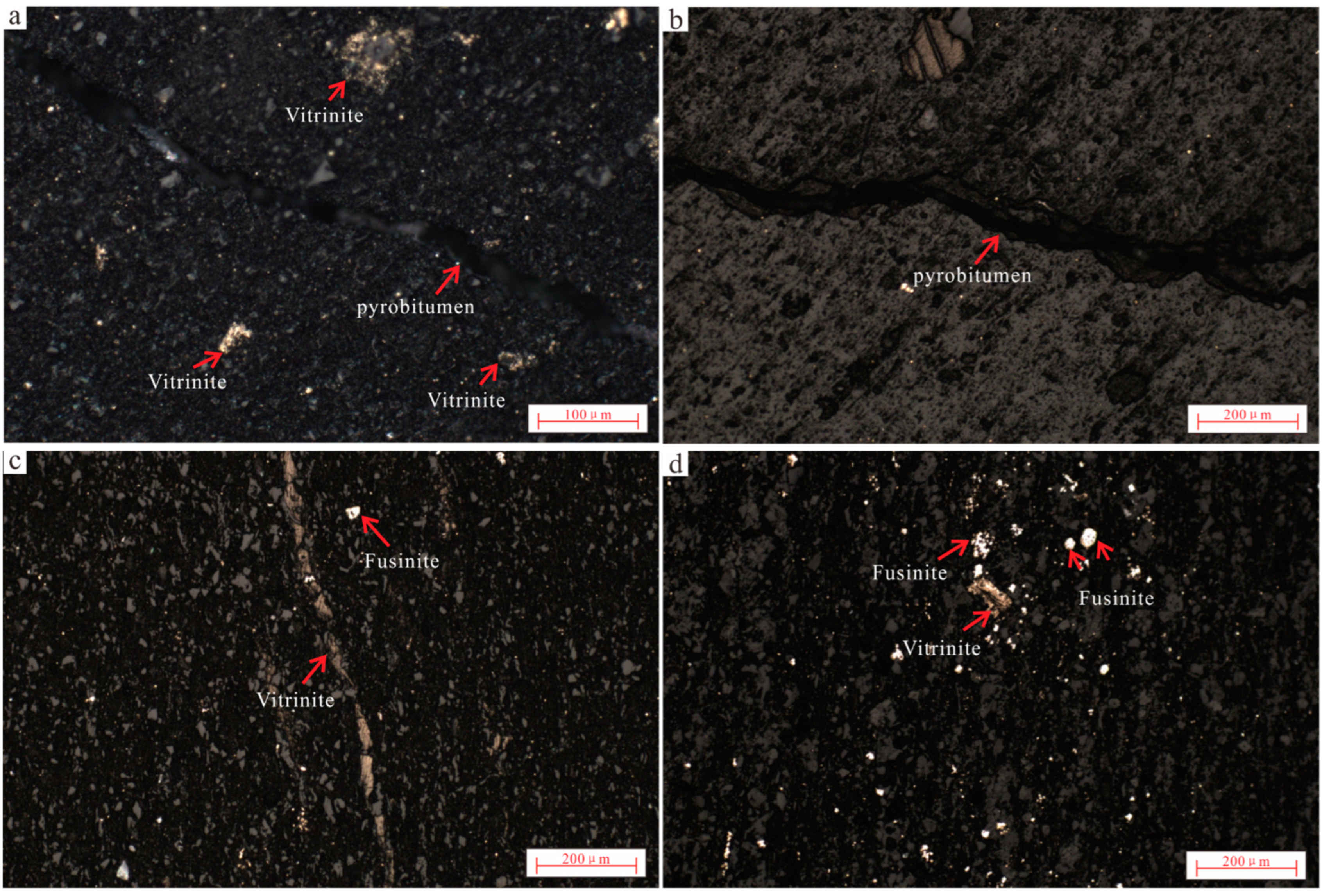 Minerals 12 01190 g007