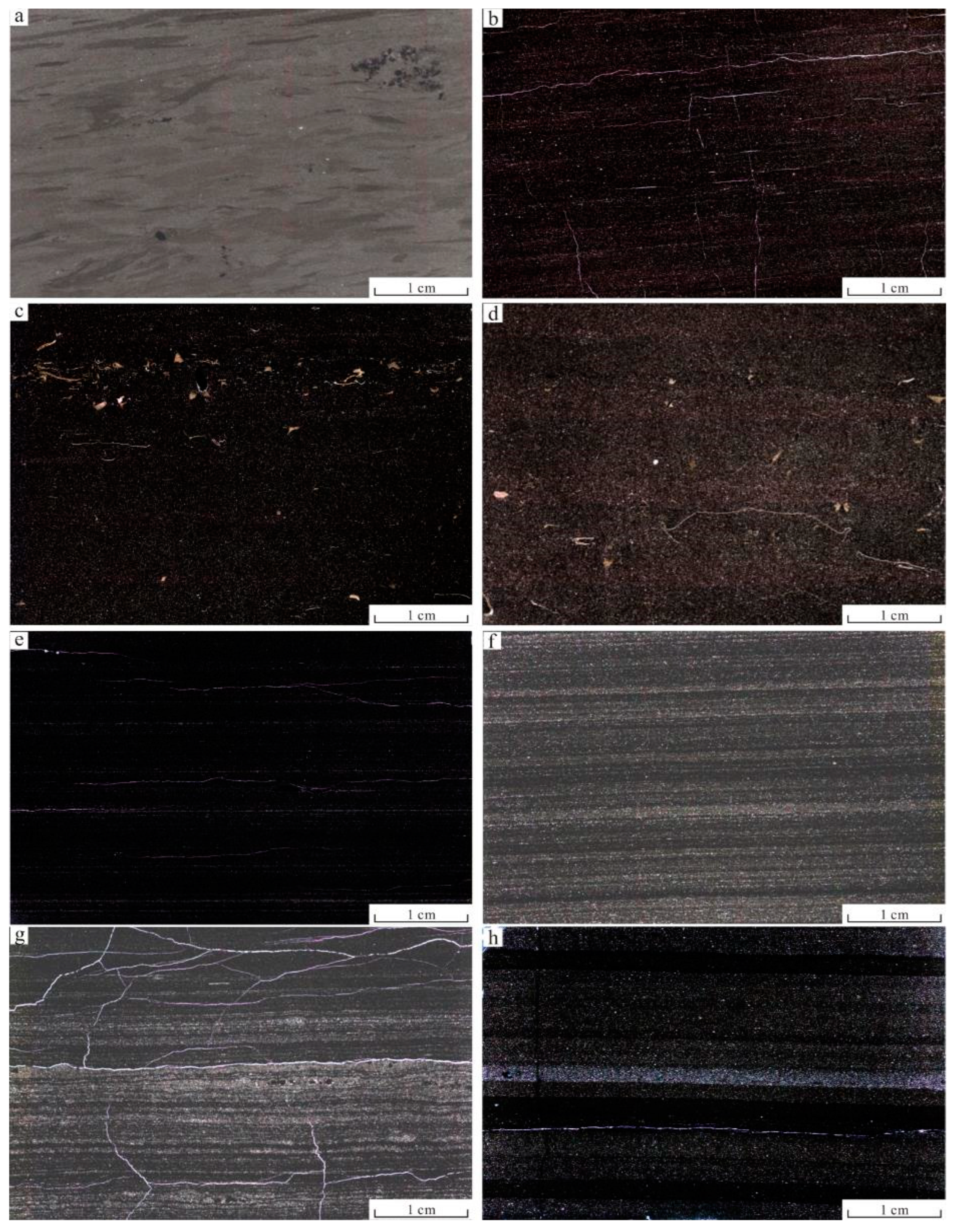 Minerals 12 01190 g008