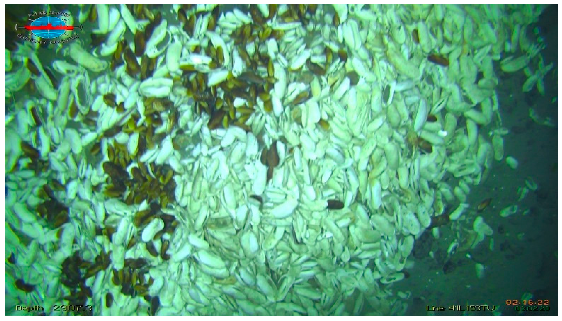 Minerals 12 01219 g010 Minerals 12 01219 g010