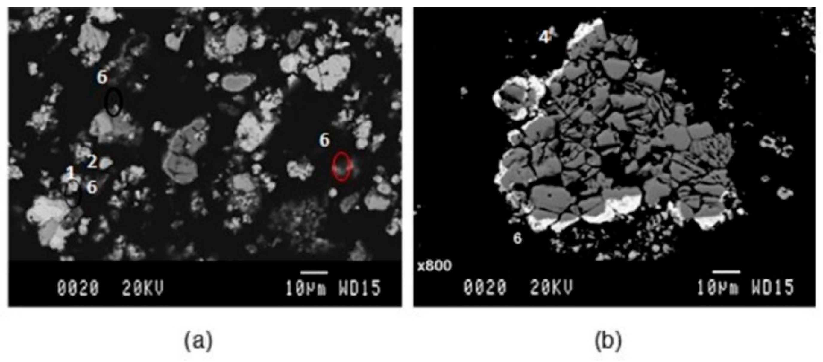 Minerals 12 01228 g009