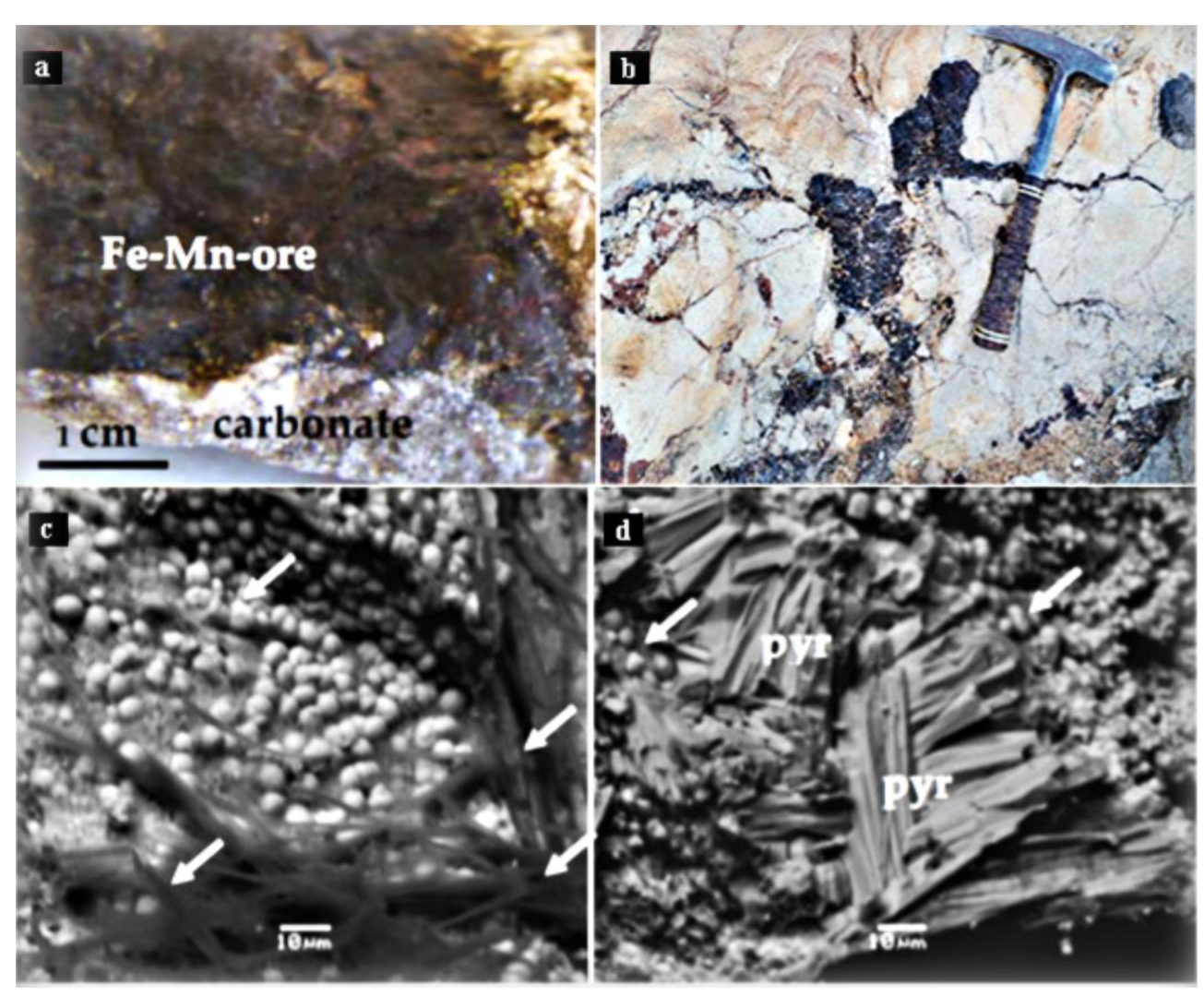Minerals 12 01303 g005