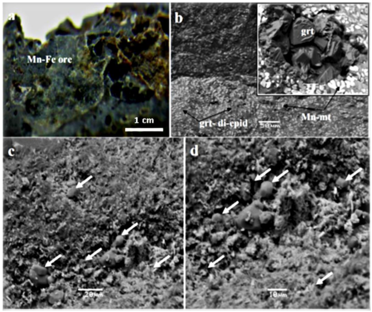 Minerals 12 01303 g006