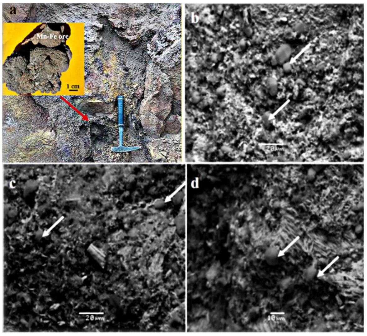 Minerals 12 01303 g007