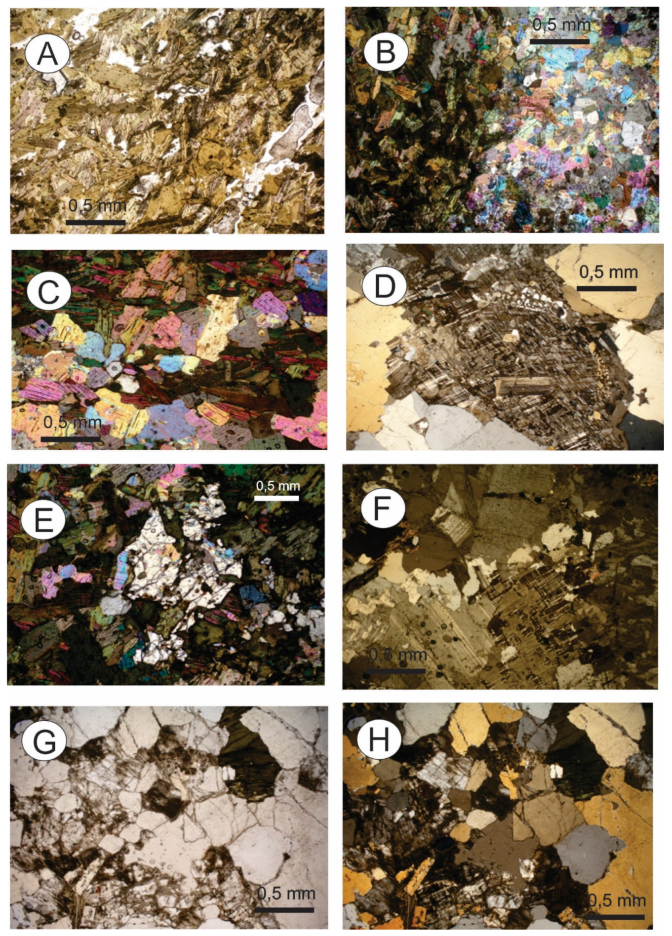 Minerals 12 01304 g015