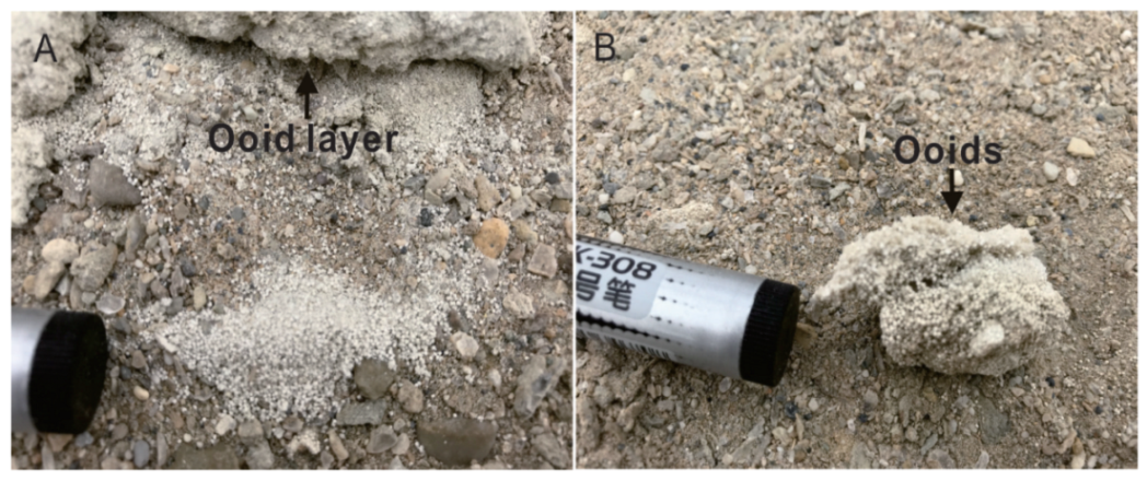 Minerals 12 01400 g002