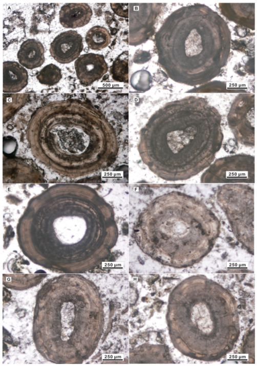Minerals 12 01400 g004