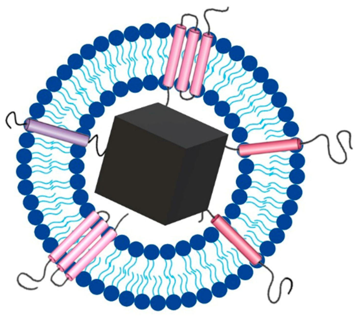 Minerals 12 01403 g001