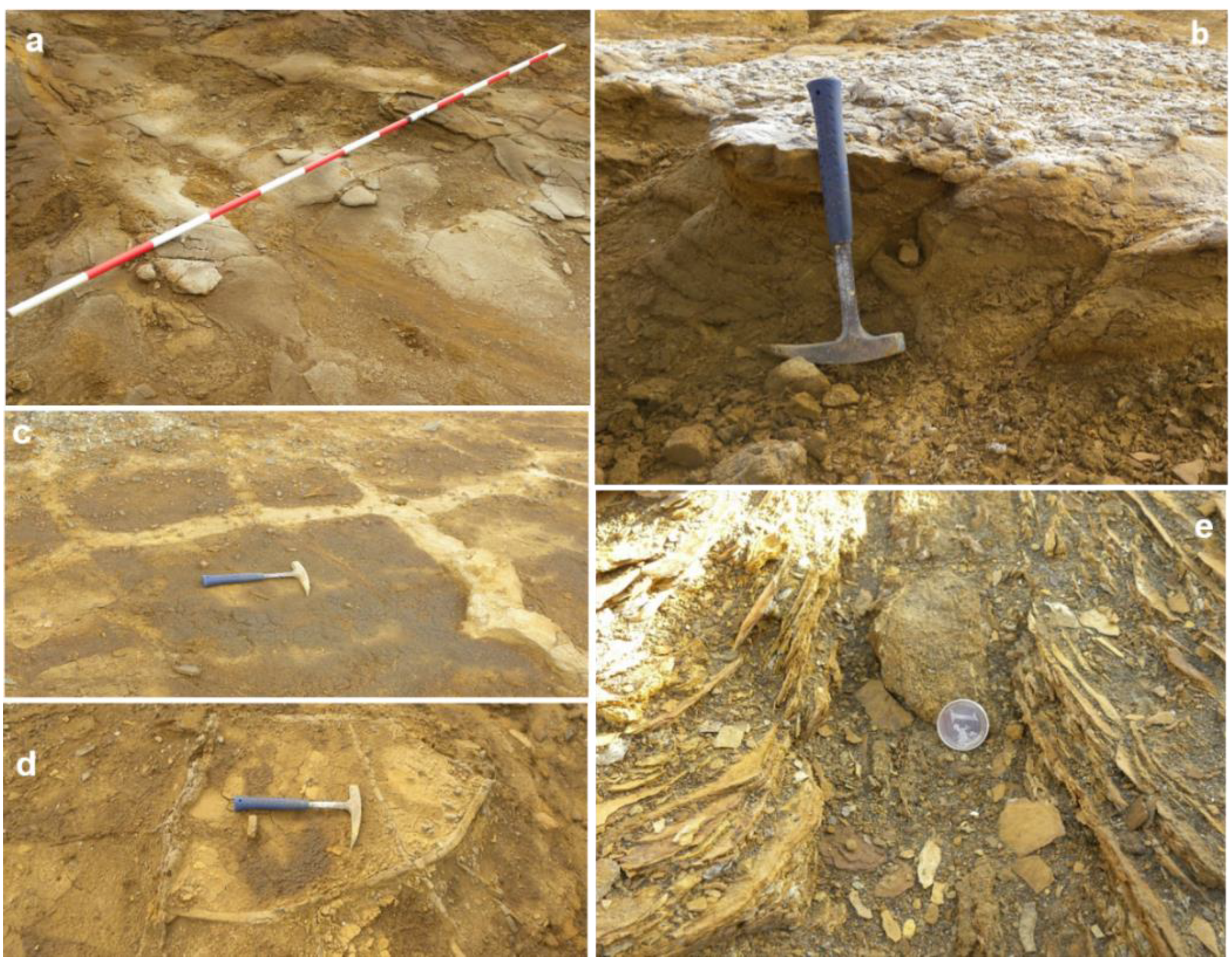 Minerals 12 01488 g007