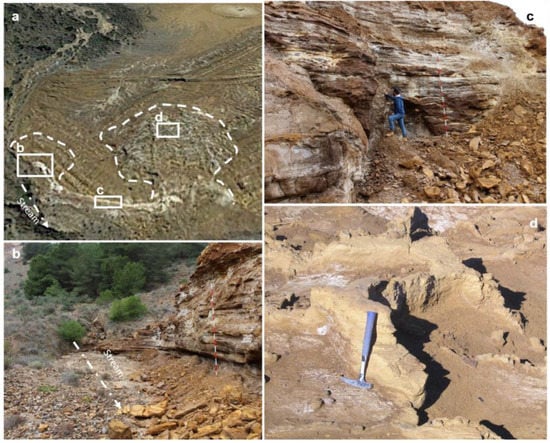 Minerals 12 01488 g008