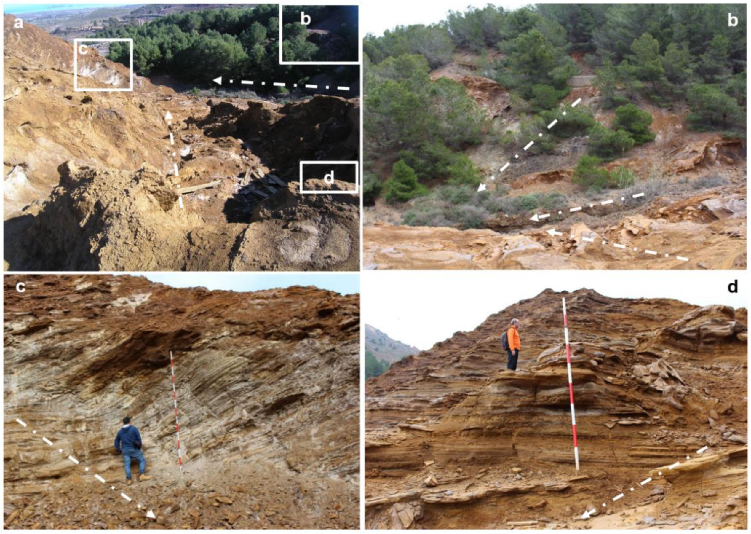 Minerals 12 01488 g010