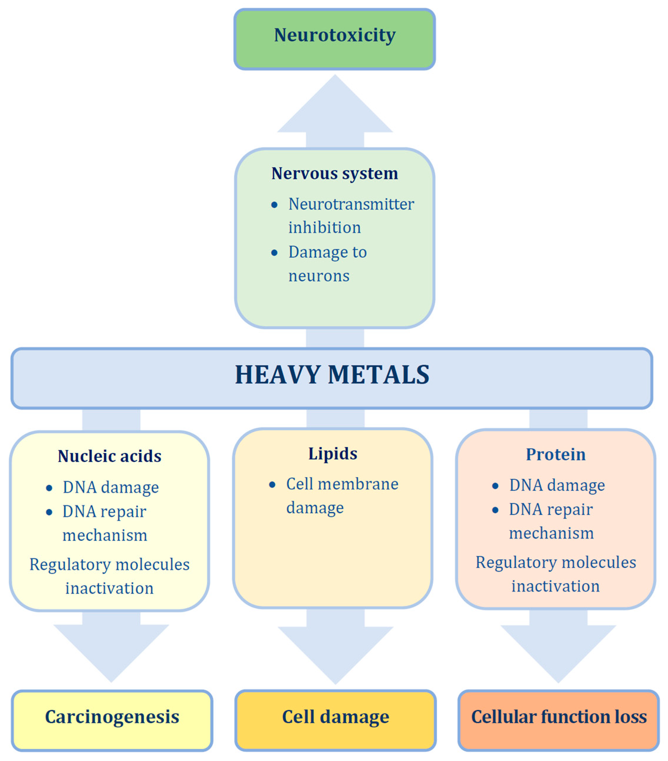 Minerals 12 01628 g009 Minerals 12 01628 g009