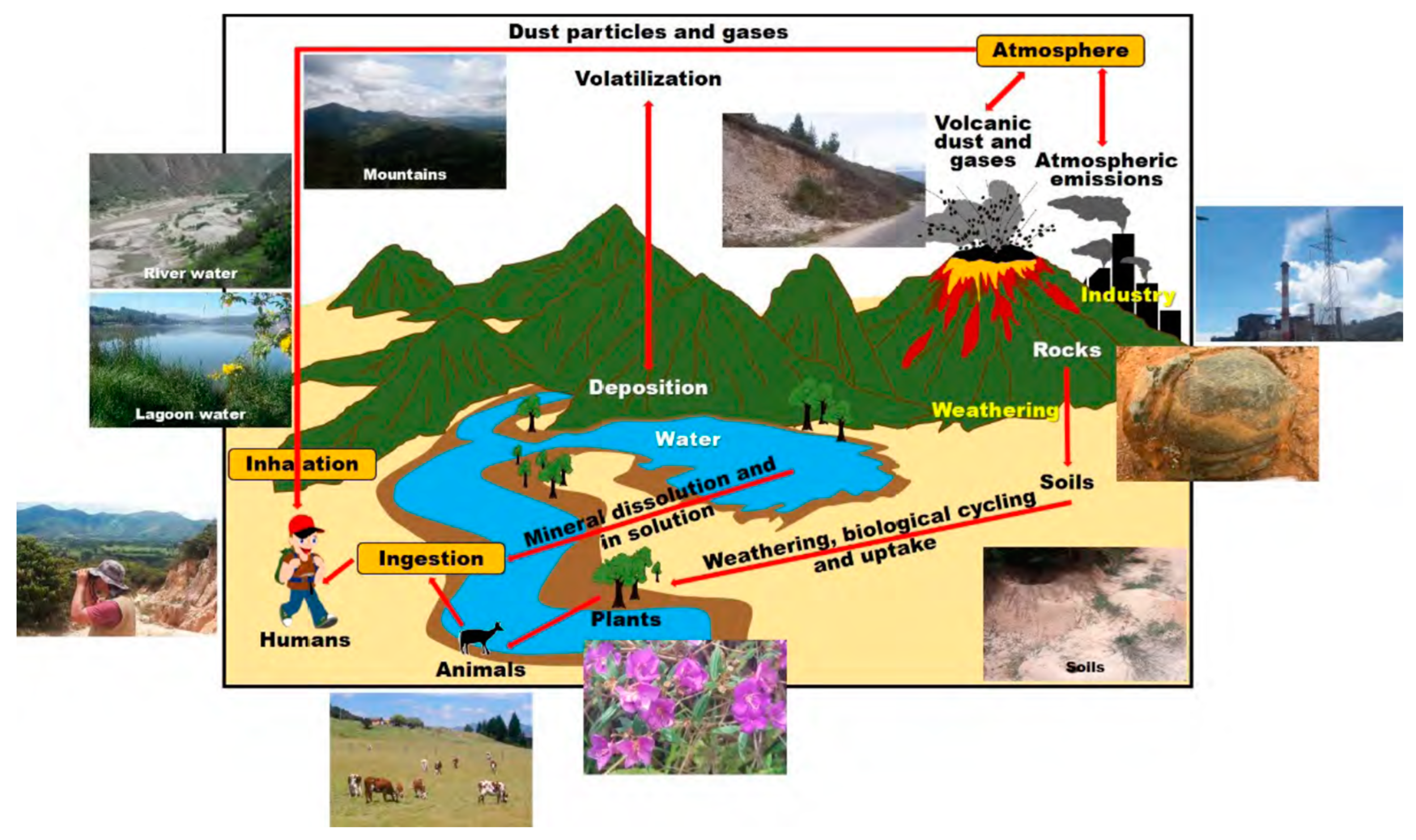 Minerals 12 01628 g010 Minerals 12 01628 g010