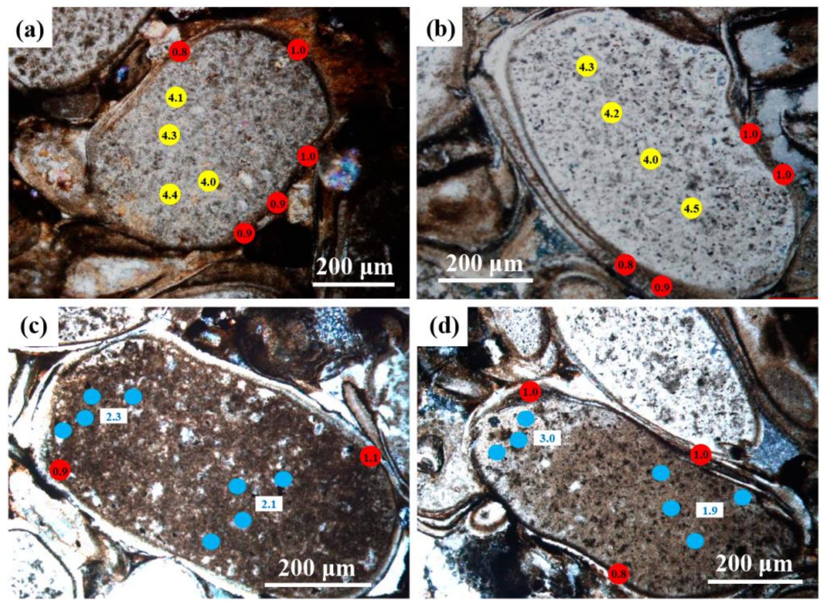 Minerals 13 00005 g007 Minerals 13 00005 g007