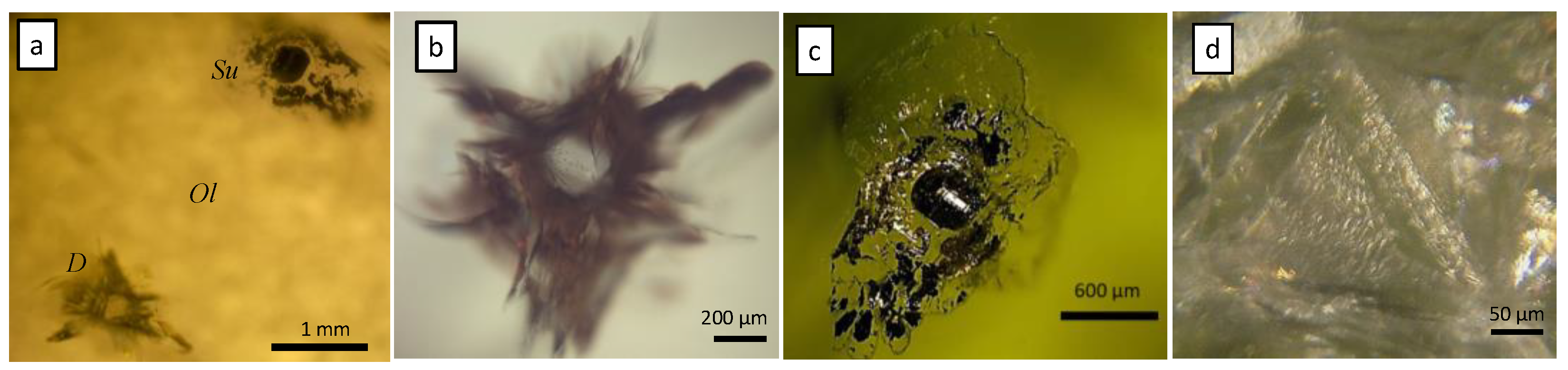 Minerals 13 00036 g003 Minerals 13 00036 g003