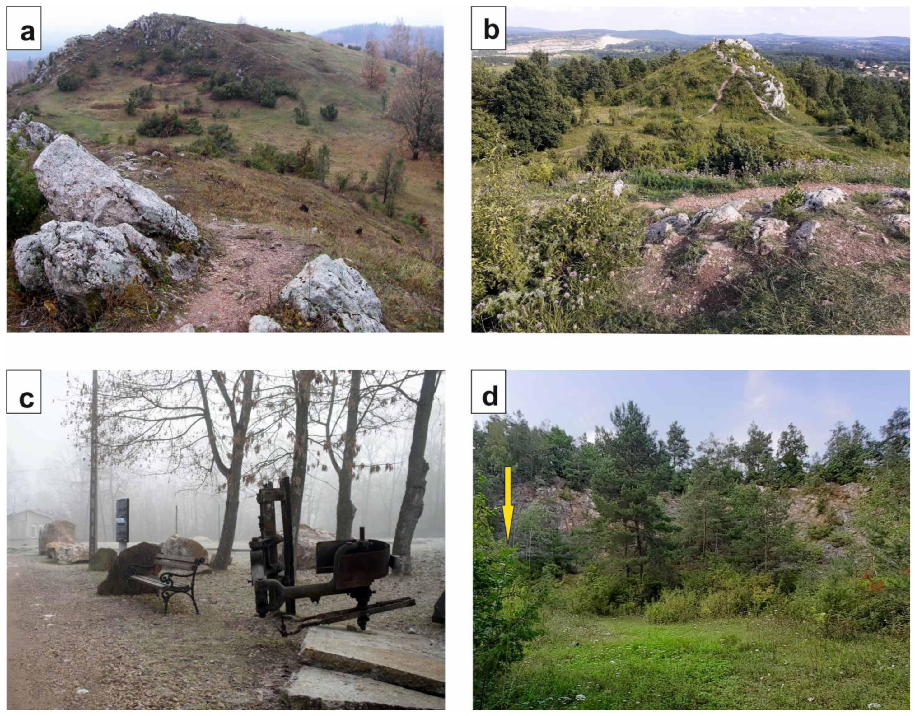 Minerals 13 00054 g002