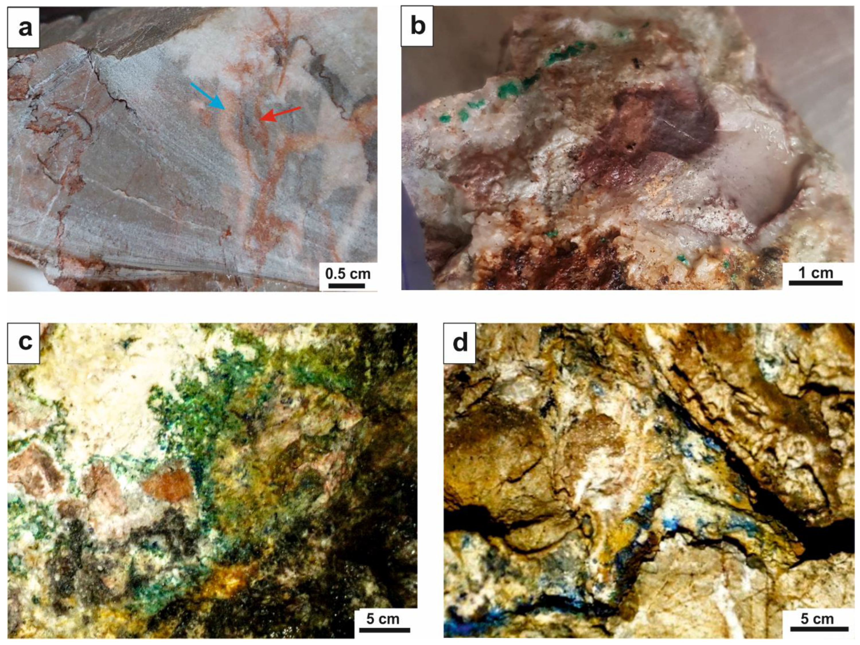 Minerals 13 00054 g006