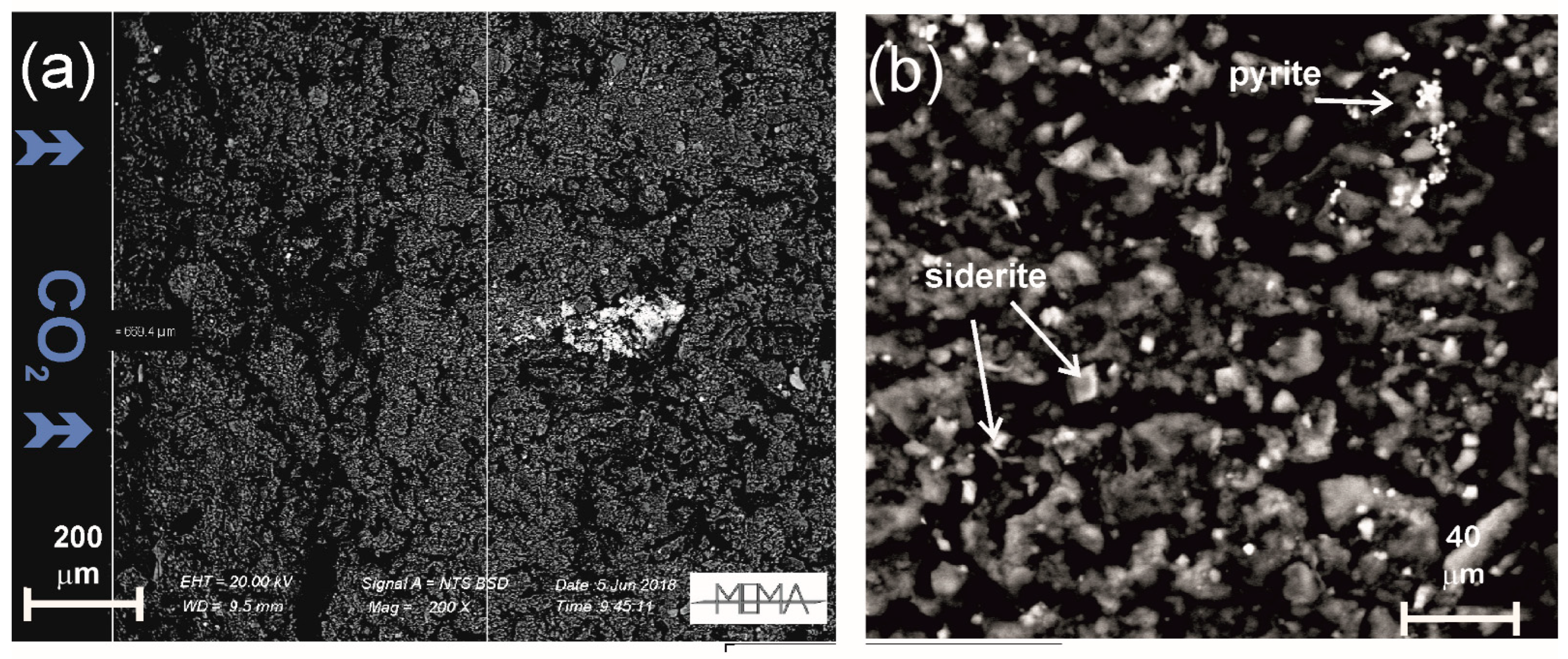 Minerals 13 00056 g009