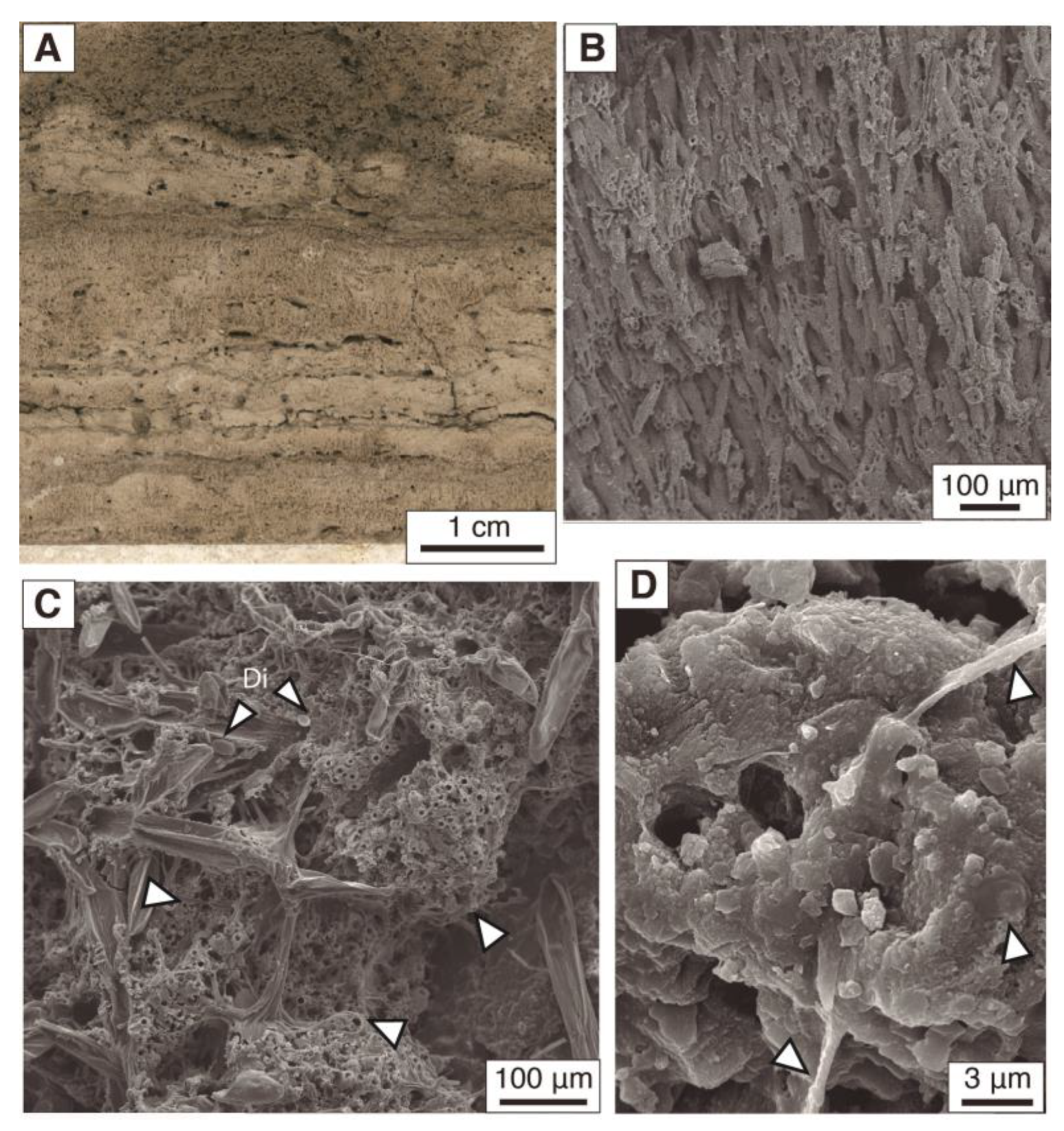 Minerals 13 00057 g003