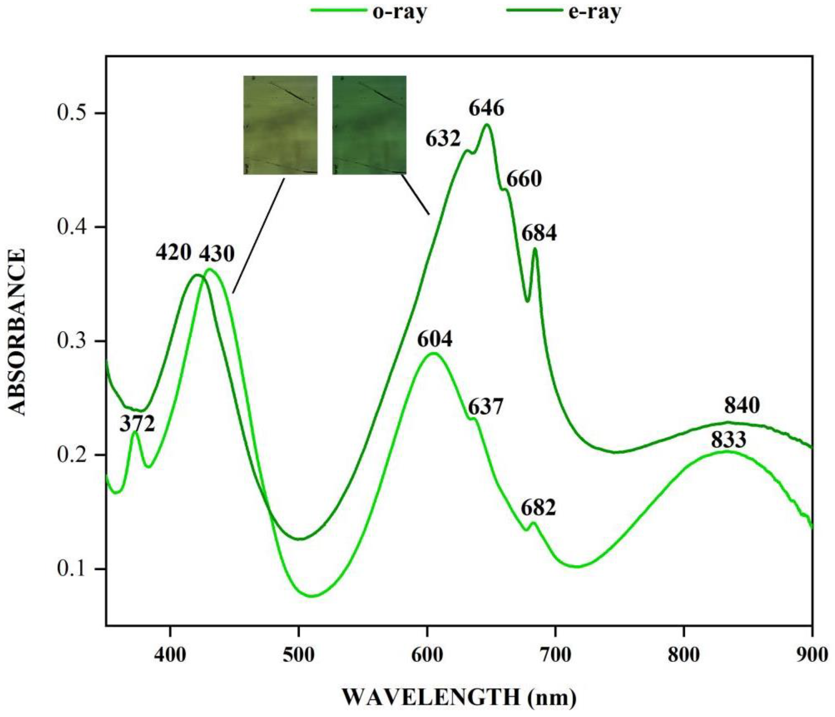 Minerals 13 00063 g009