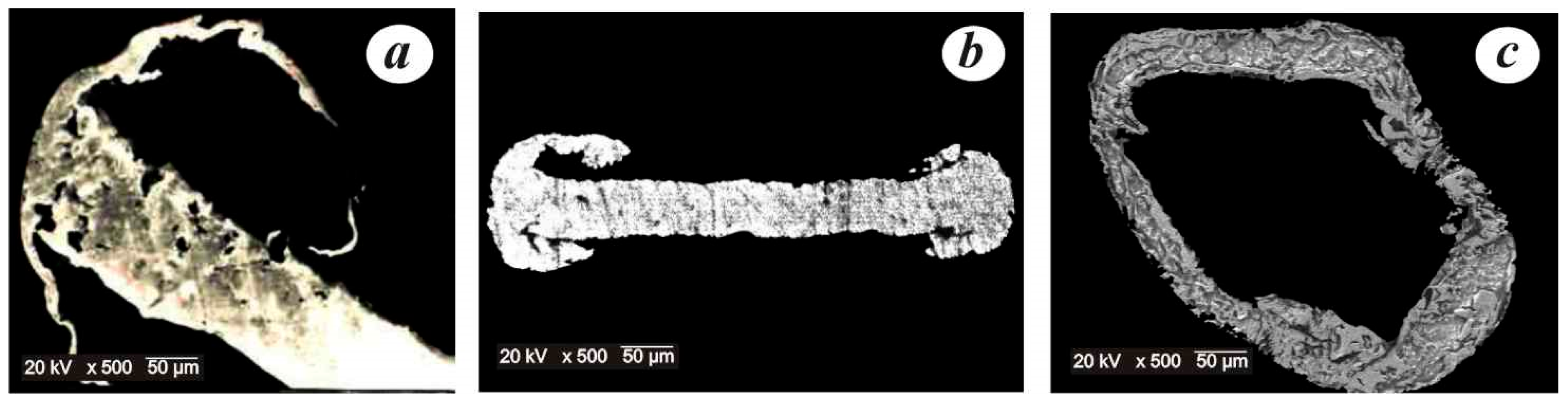 Minerals 13 00068 g006 Minerals 13 00068 g006