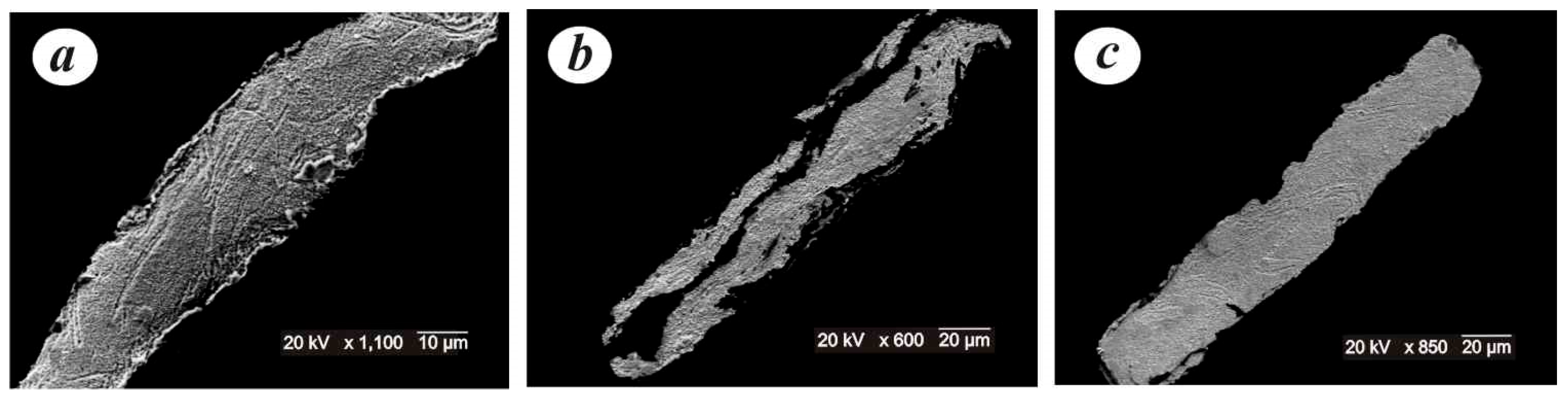 Minerals 13 00068 g007 Minerals 13 00068 g007