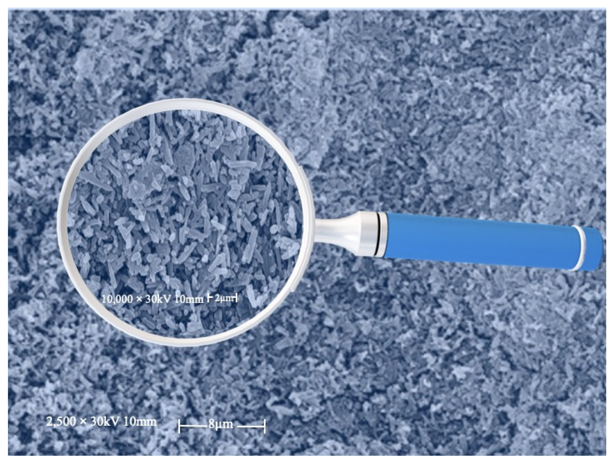 Minerals 13 00091 g004