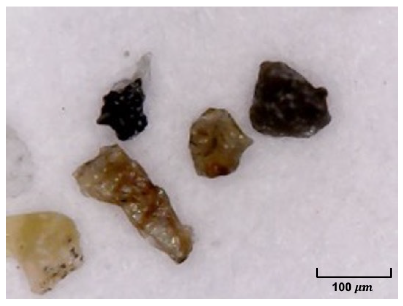 Minerals 13 00091 g010