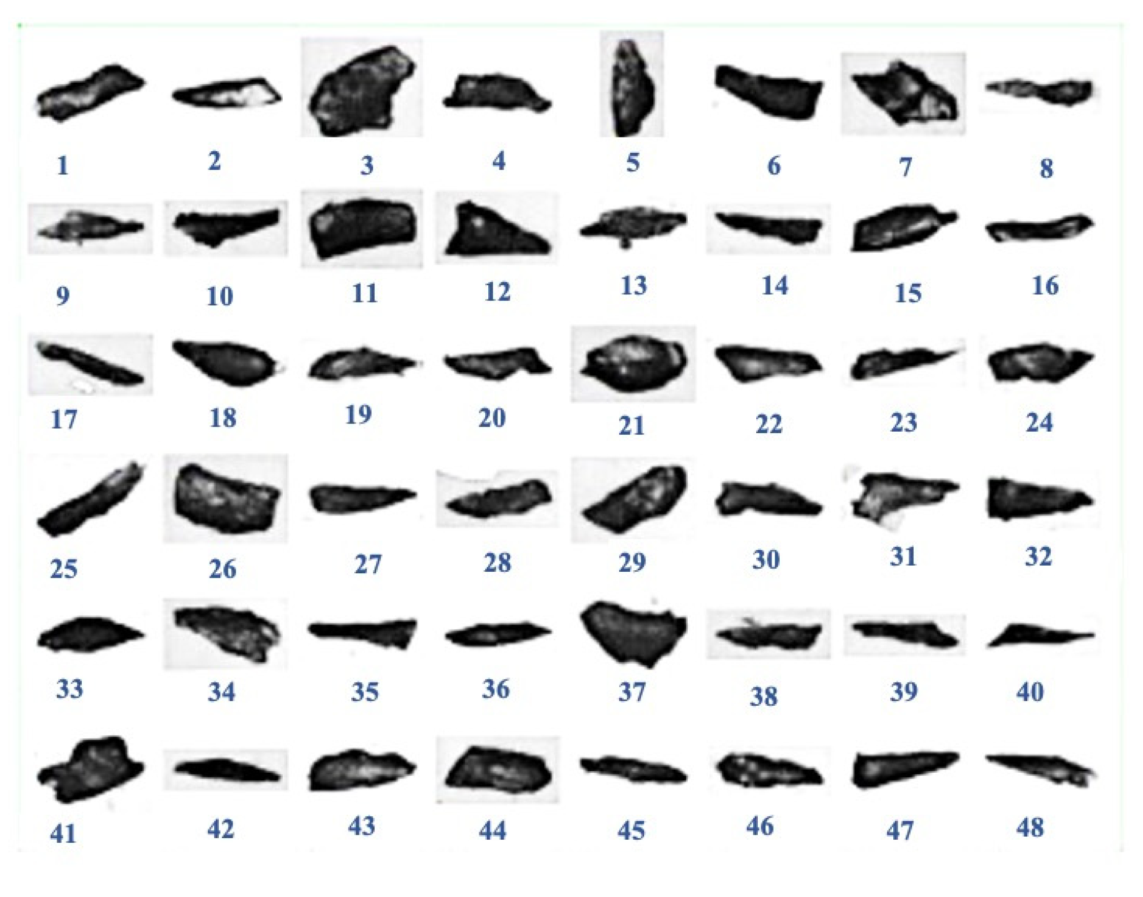 Minerals 13 00091 g018