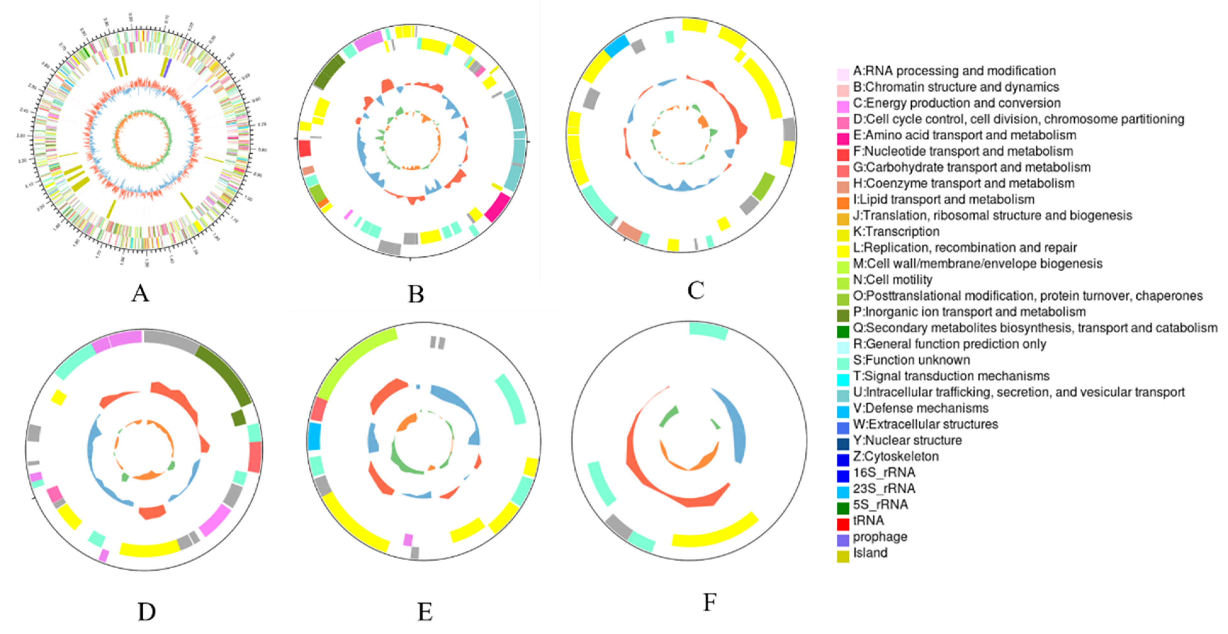 Minerals 13 00095 g003