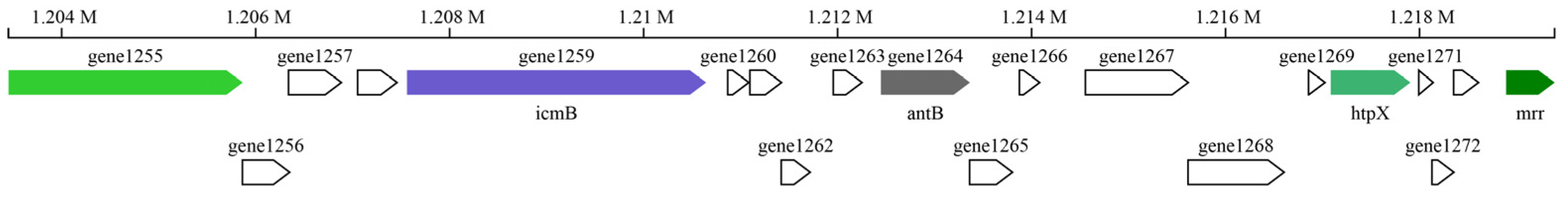 Minerals 13 00095 g008